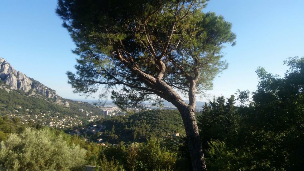 Bienvenue Lägenhet Le Revest-le-Eaux Exteriör bild